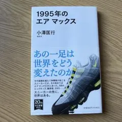 美品　1995年のエアマックス
