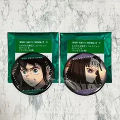 鬼滅の刃 無限城編 ものがたる眼差しコレクション缶バッジ 時透無一郎 輝利哉