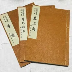 Item thumbnail for item c9aa2f35-d8e8-4d39-8f31-74f6d731d486