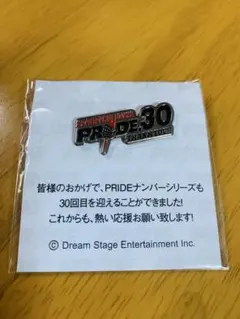PRIDE.30 ピンバッジ