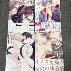 商業BL 4冊 まとめ売り