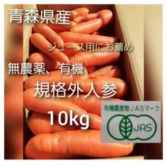 無農薬、有機栽培 人参ジュース用 10kg
