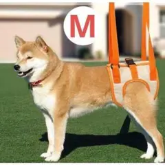 M 犬用介護ハーネス 歩行補助 歩行サポート リード 老犬 介助 介護用品