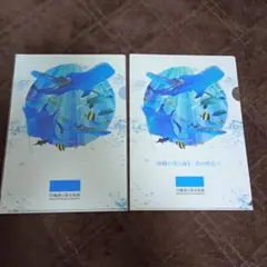 沖縄美ら海水族館 クリアファイル2枚