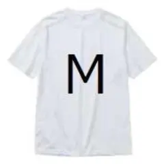 ホワイト【M】氷撃冷感 -10℃ 半袖 Tシャツ 白 新品 ワークマン