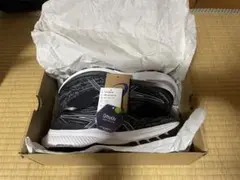 超美品 GEL-KAYANO29 27cm 2E ゲルカヤノ29