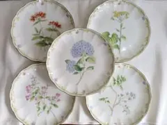 ナルミ　シーボルト　スープ皿　6枚セット　未使用品　希少品 2025年最新】ナルミ シーボルトの人気アイテム - メルカリ