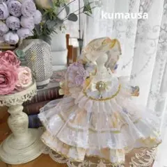 番号2351