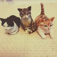 はしもとみおカプセルトイ ネコ3体セット