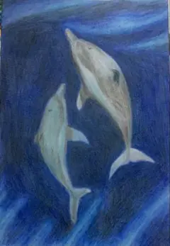 イルカの色鉛筆画 A4サイズ