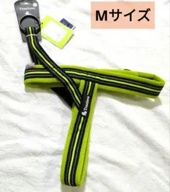Item thumbnail for item e5067366-ce4c-4ee2-af66-fea3914bd439