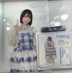 Item thumbnail for item ab2ec069-ff4b-491c-9b92-c210f5cc618b