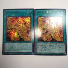 遊戯王　真なる太陽神　ウルトラ2枚