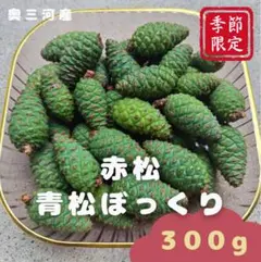 下北半島産赤松青ぼっくり　2キロ 採りたて 2025年最新】青ボックリチンキの人気アイテム - メルカリ