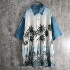 Item thumbnail for item e48996d2-3d54-4d99-a611-bc3cc50359ab