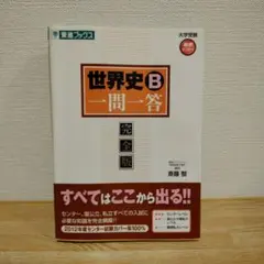 世界史B一問一答 : 完全版 書き込みあり