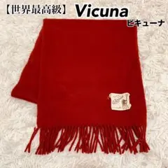2025年最新】ビクーニャ ストールの人気アイテム - メルカリ