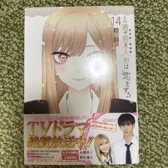 その着せ替え人形は恋をする(14)