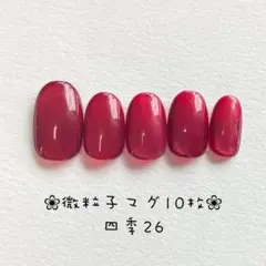 【即購入ok】マグネットネイルチップ　ショートオーバル　ニュアンス　四季26