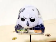 Item thumbnail for item 7fbbc4ff-b65d-408b-828b-bbca29647890