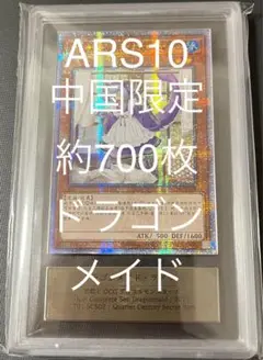 ARS10 ドラゴンメイド ラドリー 25th 中国限定　簡体字