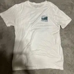 patagonia オーガニックコットン Tシャツ M