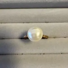 Item thumbnail for item 062b9d1c-ba3a-454a-9e75-13046ee9227d