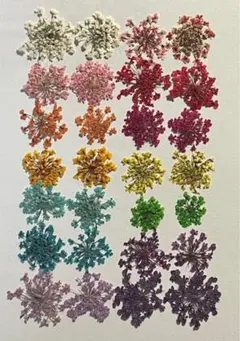 押し花素材パック　レースフラワーミックス28個入（14色×2個） No1089