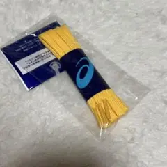 Item thumbnail for item e1734e28-4cea-4bdd-af7b-b5cd136e25c4
