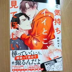 気持ちイイとこ、見てほしい　野萩あき