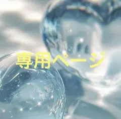 専用ページ