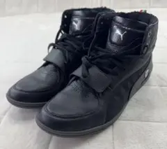 Item thumbnail for item 2ca4f717-7bb9-47ad-b276-9afcbba8582b