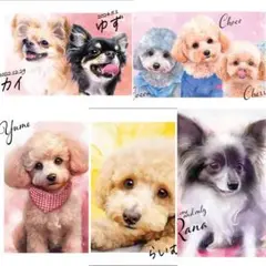 Item thumbnail for item 8ebe7023-e7c2-4eff-8983-3cb213b409a4