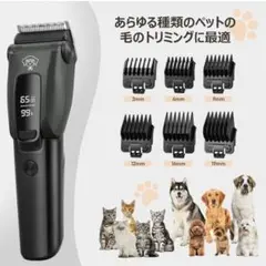 Item thumbnail for item 0f007f9e-664a-4a5d-a351-0e60c5ebabec