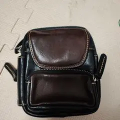 Item thumbnail for item 4c760396-d24d-4388-8423-179fc6343ed4