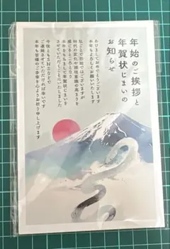 年賀状じまい2025(新年お知らせ)私製10枚入り【特選デザイナーズ】パピレイ