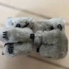 オーストラリア コアラ クリップ