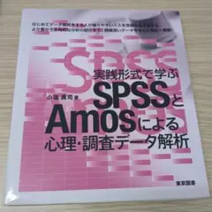 実践形式で学ぶSPSSとAmosによる心理・調査データ解析