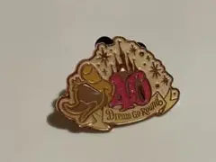 ディズニー ドナルド ピンバッジ 40周年