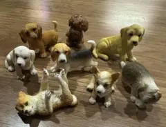 ワンコ　ガチャ　8頭　犬フィギュア
