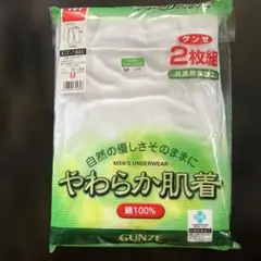 GUNZE 長ズボン下 M 2枚組