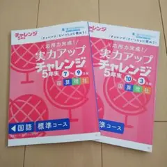 進研ゼミ 小学講座 実力アップチャレンジ 5年生セット