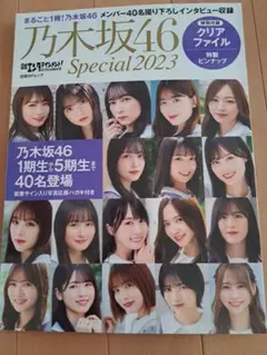 日経エンタテイメント！乃木坂46 2023　ピンナップ&クリアファイル付き