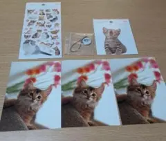 Item thumbnail for item 4212b36f-e6b3-4a14-9dcb-21c09a6af731