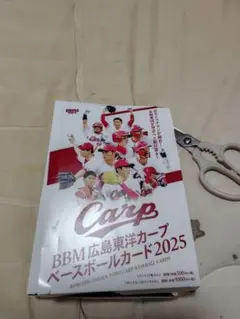 BBM 広島東洋カープ ベースボールカード 2025 未開封パック 17個