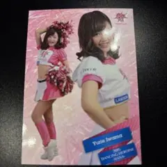 Item thumbnail for item 417e517a-003d-43eb-9820-7fad1061ba72