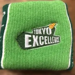 TOKYO EXCELLENCE リストバンド 緑