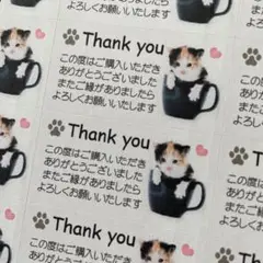 サンキューシール　カップねこちゃん　132枚