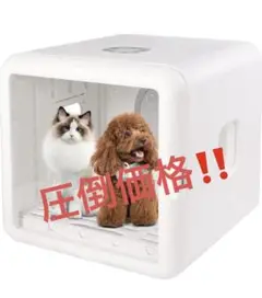 Item thumbnail for item 5cc04013-b992-40ef-9147-4fa476af043f