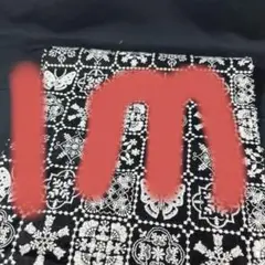 Item thumbnail for item 02be7574-a19c-4bf2-aa02-65c0d5e5f9ff